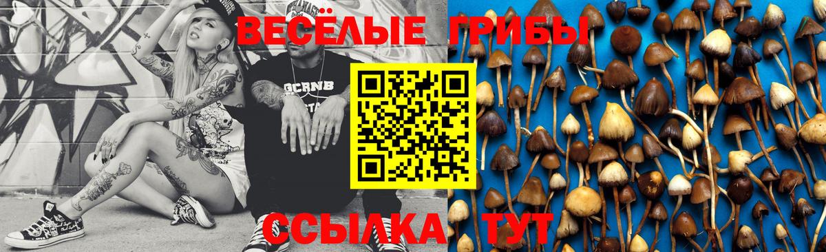 Жигулёвск  Псилоцибиновые грибы прущие грибы  Галлюциногенные грибы прущие грибы  Вход с VPN 
